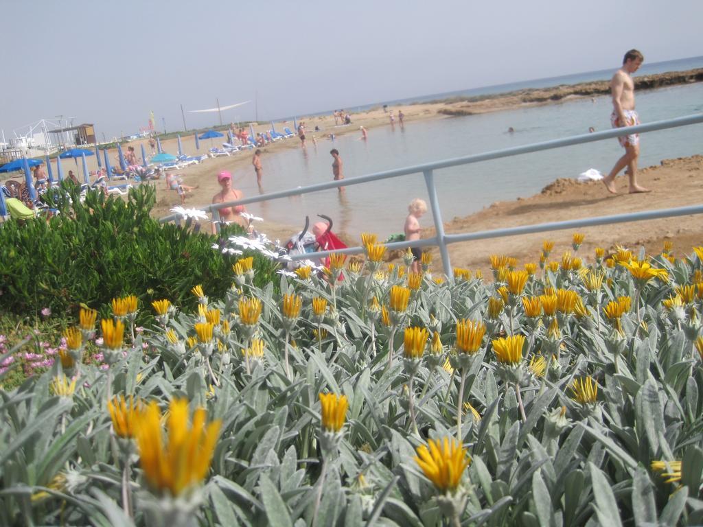 Polyxenia Isaak Luxury Villas And Apartments Протарас Екстериор снимка